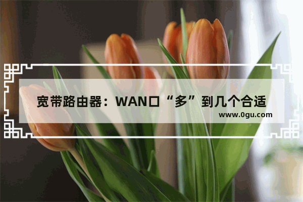 宽带路由器：WAN口“多”到几个合适