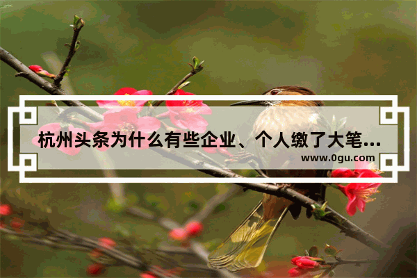 杭州头条为什么有些企业、个人缴了大笔宽带费用，网速还是很慢？因为许多人不明白