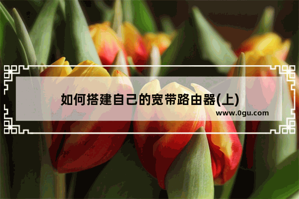 如何搭建自己的宽带路由器(上)