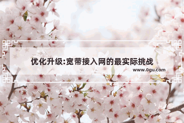 优化升级:宽带接入网的最实际挑战