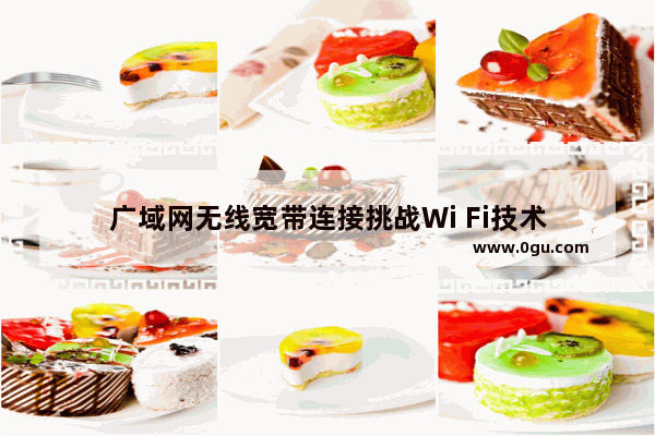 广域网无线宽带连接挑战Wi Fi技术