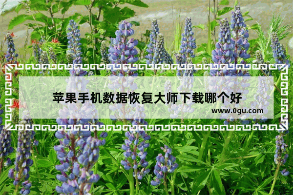 苹果手机数据恢复大师下载哪个好