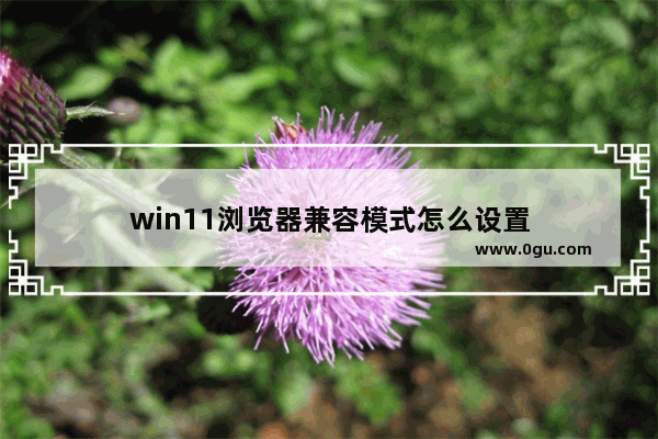win11浏览器兼容模式怎么设置
