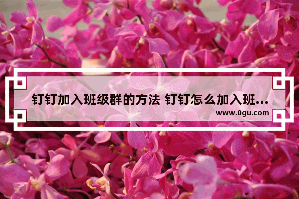 钉钉加入班级群的方法 钉钉怎么加入班级群