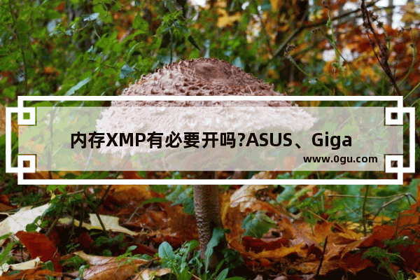 内存XMP有必要开吗?ASUS、Gigabyte、MSI主板开启XMP提高内存频率方法
