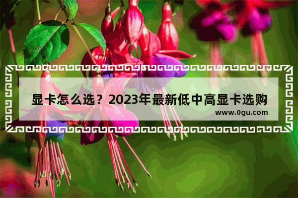 显卡怎么选？2023年最新低中高显卡选购介绍