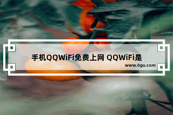 手机QQWiFi免费上网 QQWiFi是怎么使用