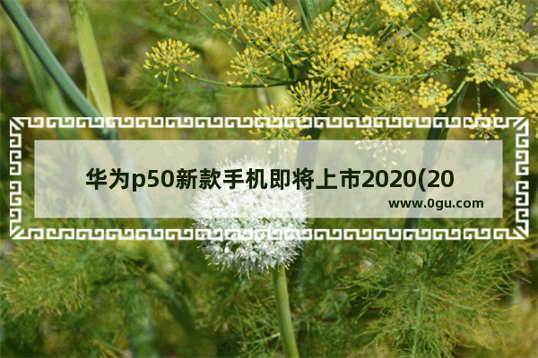 华为p50新款手机即将上市2020(2020年买华为手机哪款好)