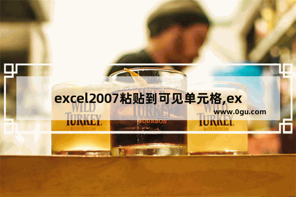 excel2007粘贴到可见单元格,excel2016怎么粘贴到可见单元格