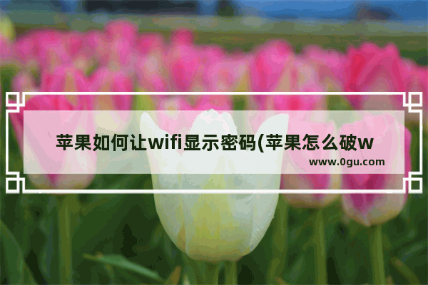 苹果如何让wifi显示密码(苹果怎么破wifi密码,还能显示出来密码)