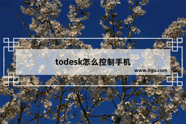 todesk怎么控制手机