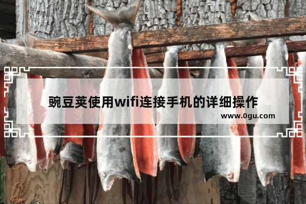 豌豆荚使用wifi连接手机的详细操作
