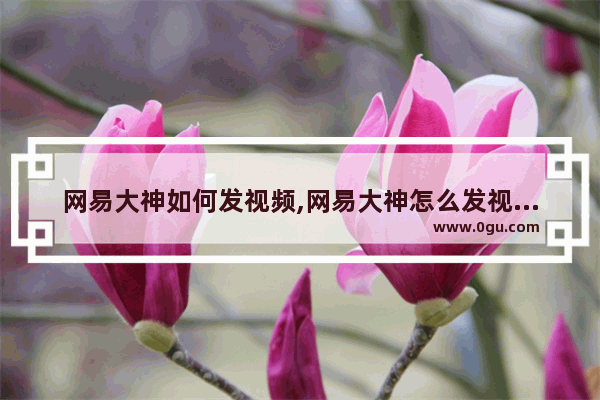 网易大神如何发视频,网易大神怎么发视频教程