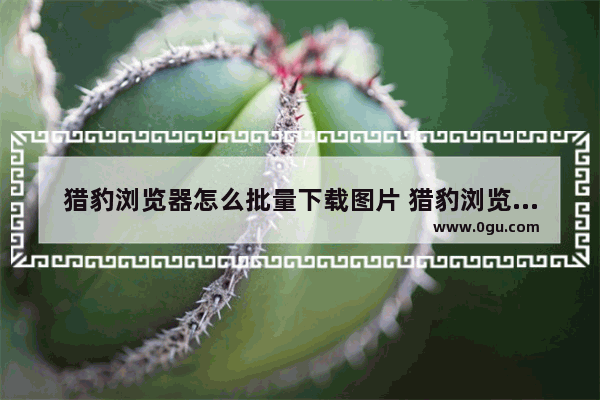 猎豹浏览器怎么批量下载图片 猎豹浏览器批量下载图片的方法