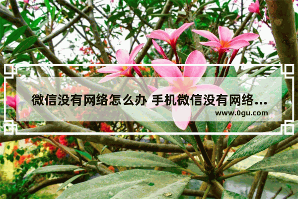 微信没有网络怎么办 手机微信没有网络怎么看资源
