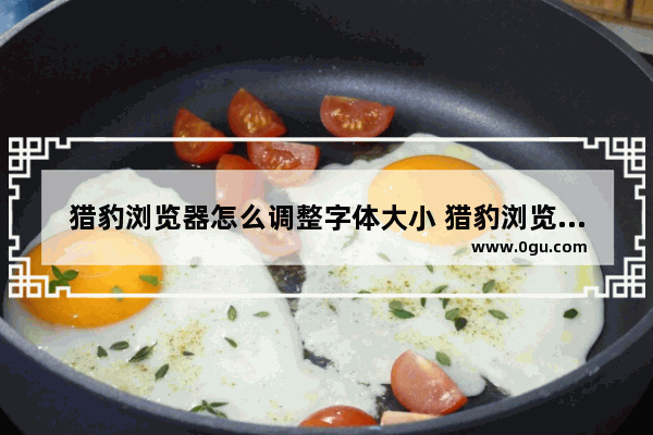 猎豹浏览器怎么调整字体大小 猎豹浏览器调整字体大小的方法