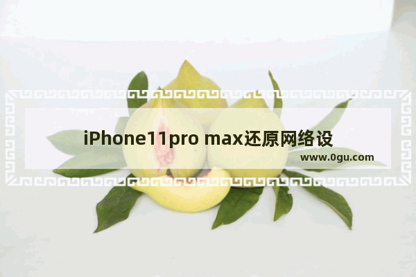 iPhone11pro max还原网络设置的具体方法