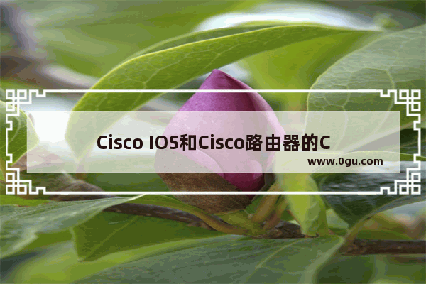 Cisco IOS和Cisco路由器的Catalyst交换机之间
