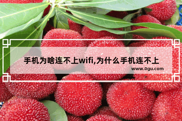 手机为啥连不上wifi,为什么手机连不上路由器