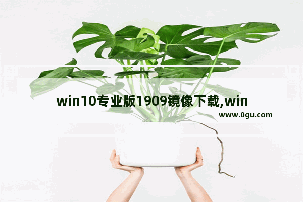 win10专业版1909镜像下载,win10家庭中文版1903