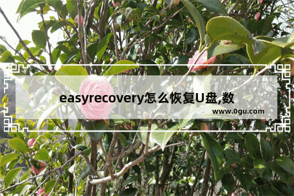 easyrecovery怎么恢复U盘,数据恢复easyrecovery是磁盘工具吗