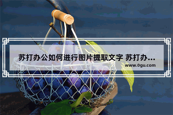 苏打办公如何进行图片提取文字 苏打办公图片提取文字的方法