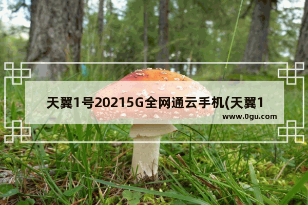 天翼1号20215G全网通云手机(天翼1号5G)