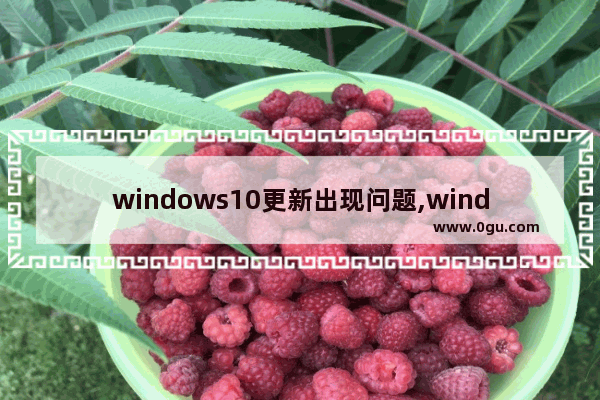 windows10更新出现问题,window10不再更新版本