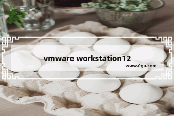 vmware workstation12许可证密钥,vmware workstation14 密钥