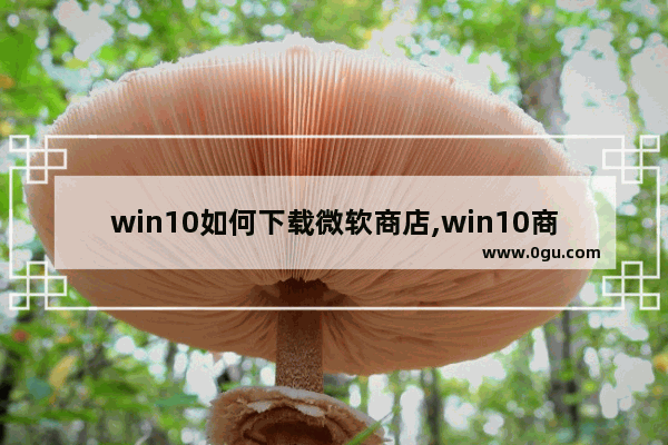 win10如何下载微软商店,win10商店不登陆账号也能下载免费应用吗