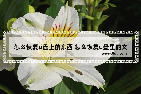 怎么恢复u盘上的东西 怎么恢复u盘里的文件