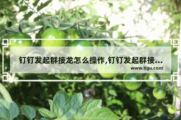 钉钉发起群接龙怎么操作,钉钉发起群接龙时出现不能换行和中括号