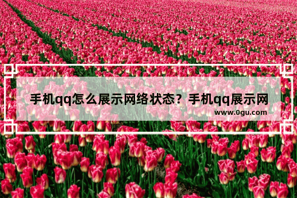 手机qq怎么展示网络状态？手机qq展示网络状态操作流程详解