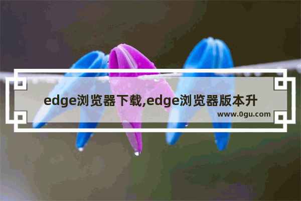 edge浏览器下载,edge浏览器版本升级