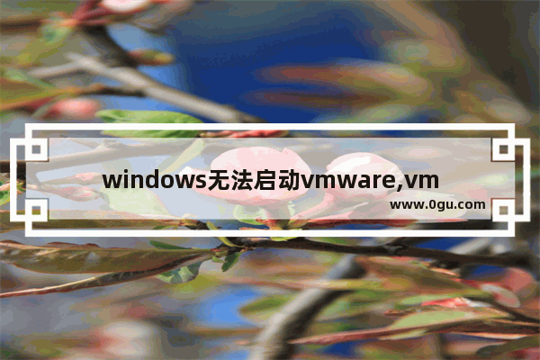 windows无法启动vmware,vmware无法启动虚拟机