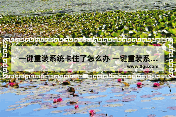 一键重装系统卡住了怎么办 一键重装系统装一半卡住