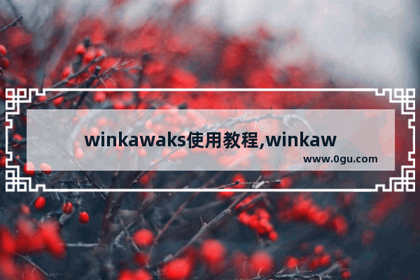 winkawaks使用教程,winkawaks安装教程