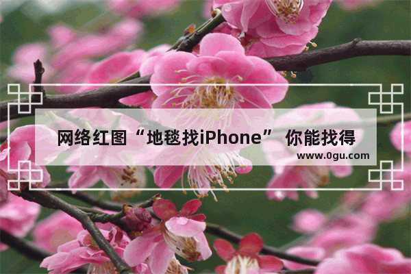 网络红图“地毯找iPhone” 你能找得到iPhone吗？