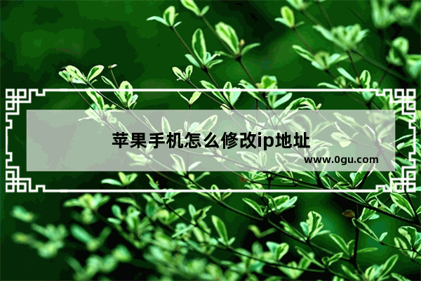 苹果手机怎么修改ip地址