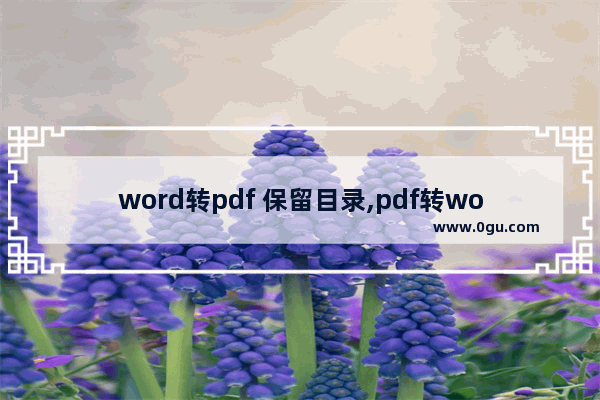 word转pdf 保留目录,pdf转word怎么删除页面