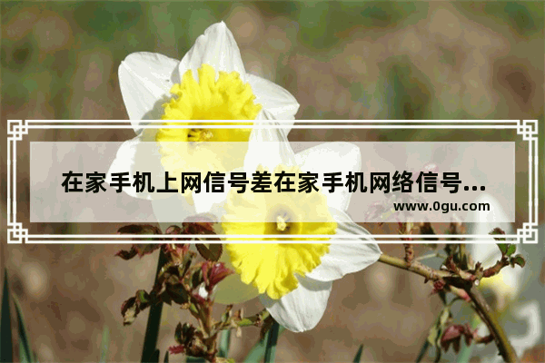 在家手机上网信号差在家手机网络信号差不稳定怎么解决(在家手机上网信号差在家手机网络信号差不稳定怎么回事)