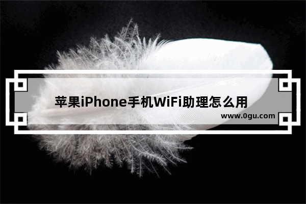 苹果iPhone手机WiFi助理怎么用 苹果手机WiFi助手使用详解