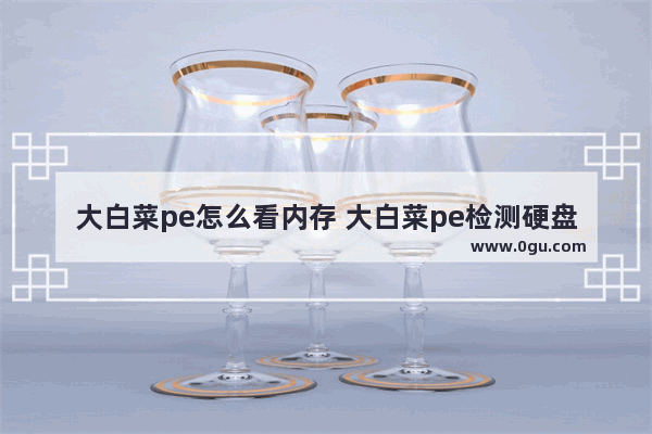 大白菜pe怎么看内存 大白菜pe检测硬盘
