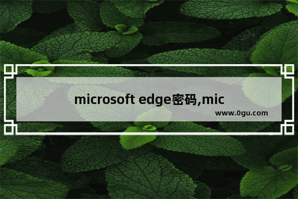 microsoft edge密码,microsoft edge怎样设置密码