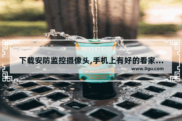 下载安防监控摄像头,手机上有好的看家软件吗(家庭监控摄像头手机软件)