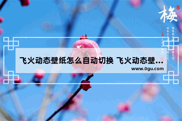 飞火动态壁纸怎么自动切换 飞火动态壁纸设置自动切换的方法