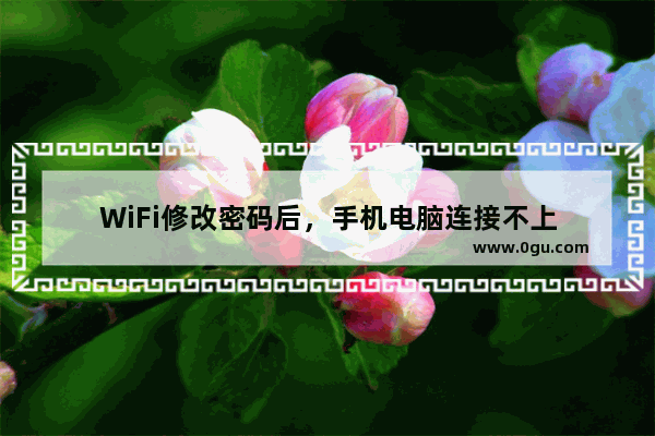 WiFi修改密码后，手机电脑连接不上