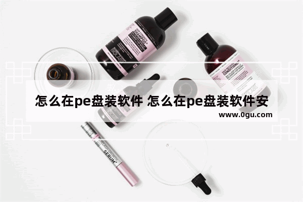 怎么在pe盘装软件 怎么在pe盘装软件安装
