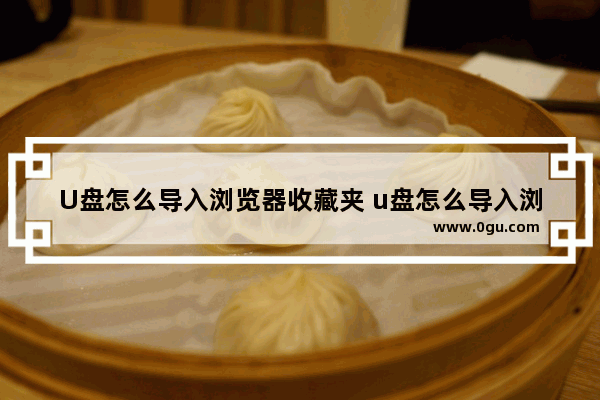 U盘怎么导入浏览器收藏夹 u盘怎么导入浏览器收藏夹里的文件