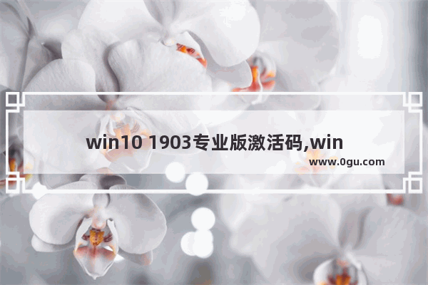 win10 1903专业版激活码,win10专业版1903版本号永久激活工具 1